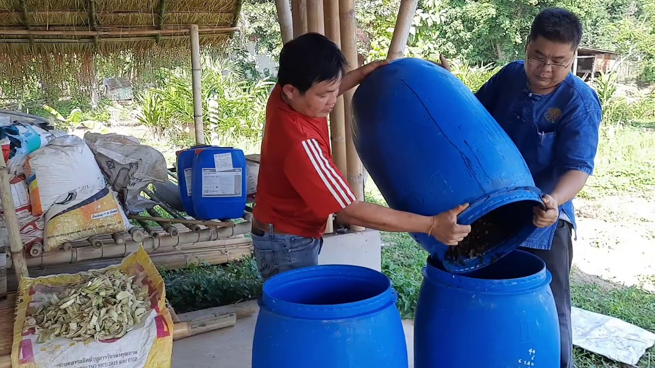 การทำจุลินทรีย์หน่อกล้วยสูตรขยาย