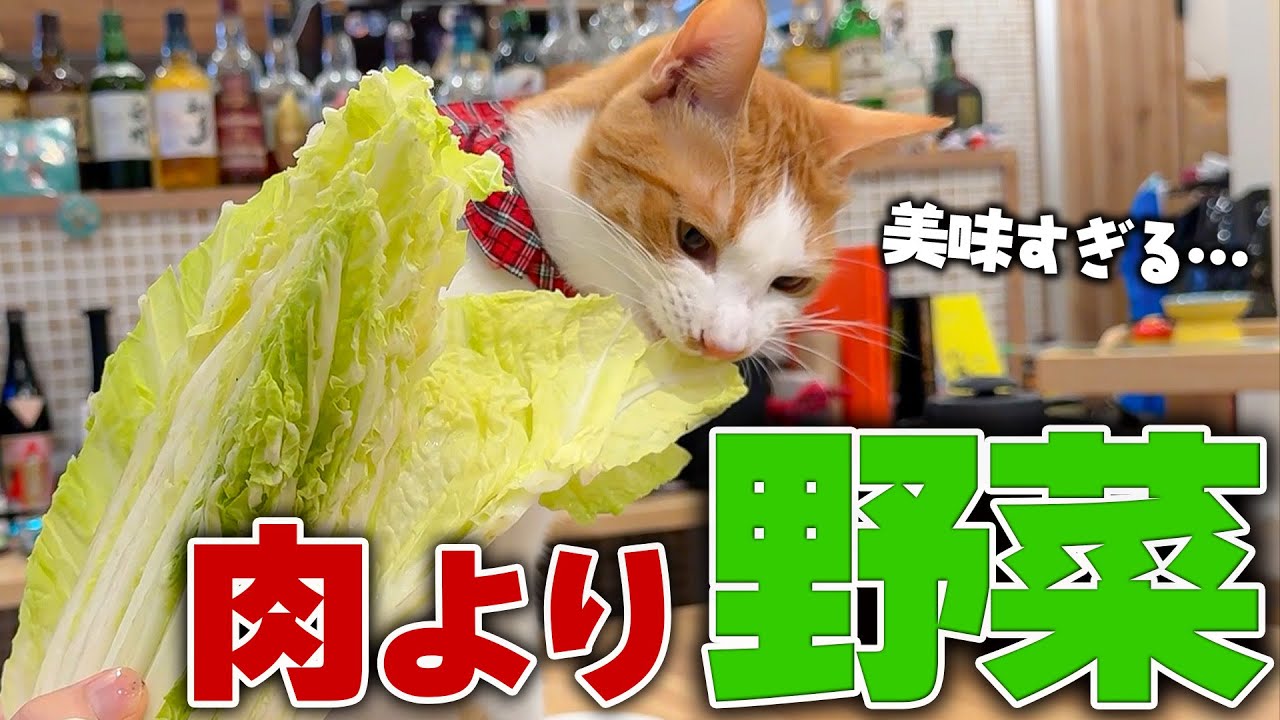 チップに関して、ずっと隠していた秘密があります。