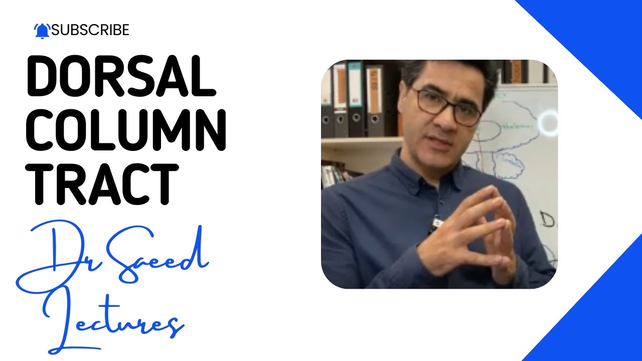 Nurology | Ascending Tracts: Dorsal Column Tract