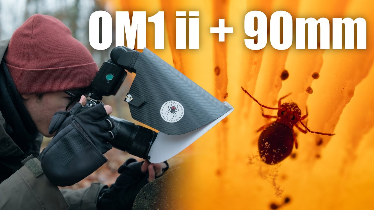 Winter Macro Photography with the OM1 Mark ii and 90mm macro | Macro Walks ep17
