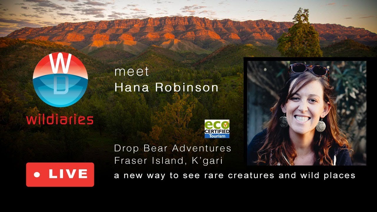 Wildiaries VentureSome Live - Hana Robinson, Drop Bear Adventures