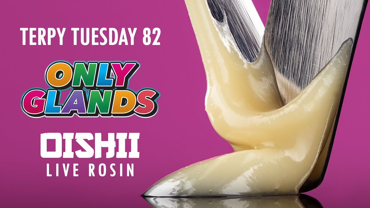 Terpy Tuesday Ep. 82: Only Glands x Retrowave Oishii Live Rosin