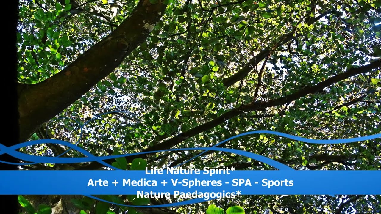 Life Nature Spirit* - Park Forest CAMP* - Villa Eulenburg* - Arte&acute;22* - DFG*  (3/5)
