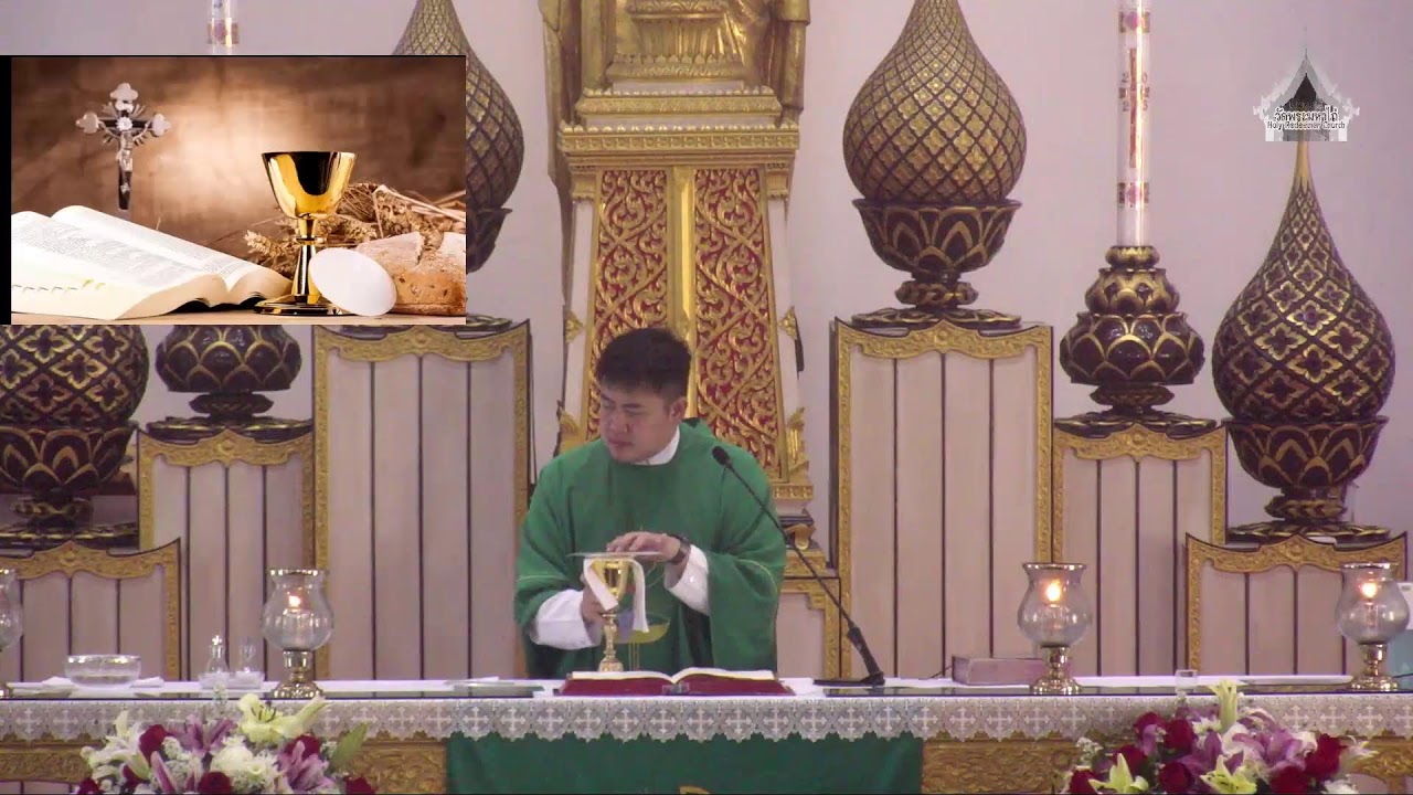 Live - Mass & Liturgy