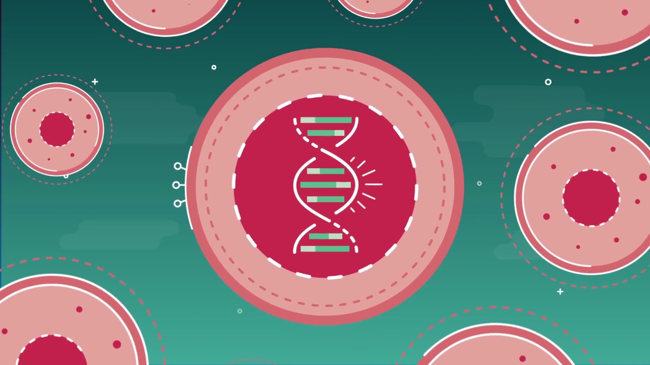 What is cell & gene therapy?