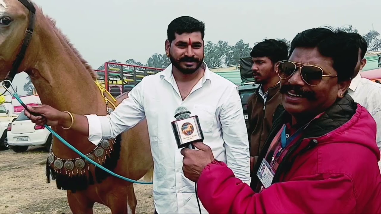 #horse #horsefan #horselove #horsepower #horseshow #indore #Indore horse show❤️🔥