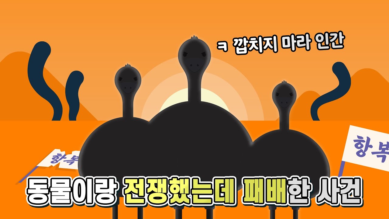 동물과 인간이 전쟁을 했지만 인간이 발려버렸다