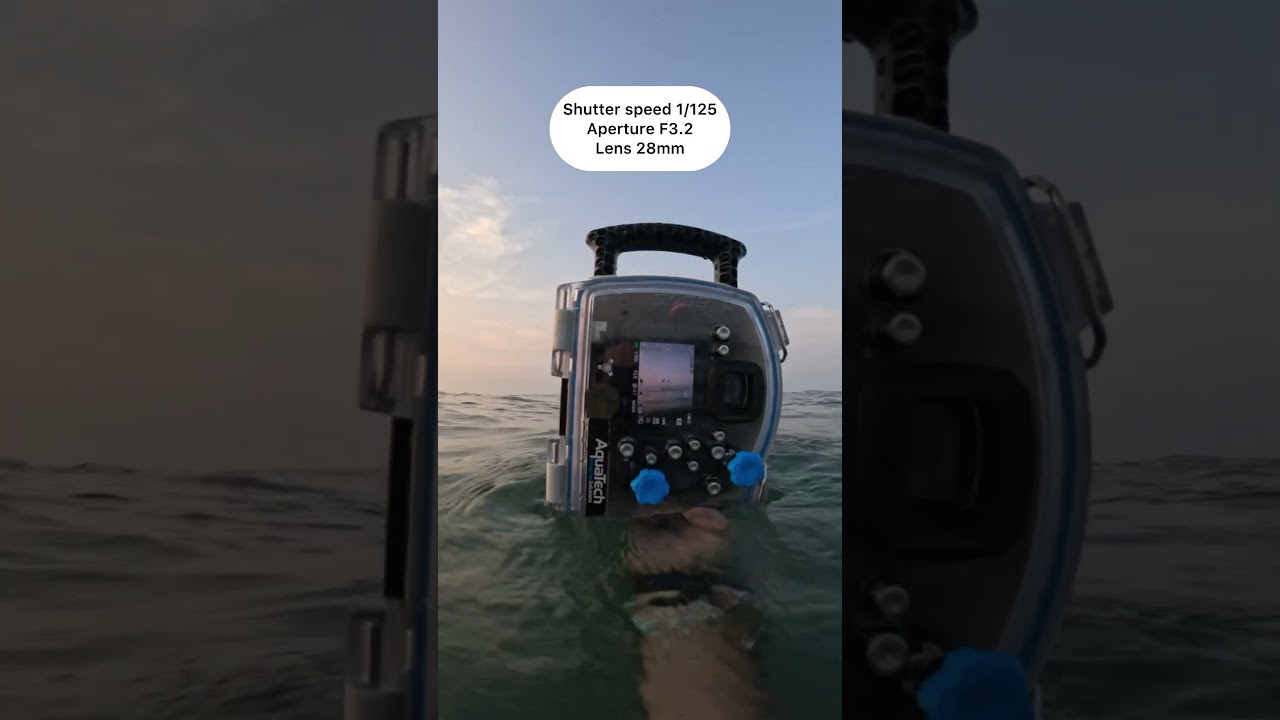 First time using the underwater housing #photography #camera #behindthescenes #settings