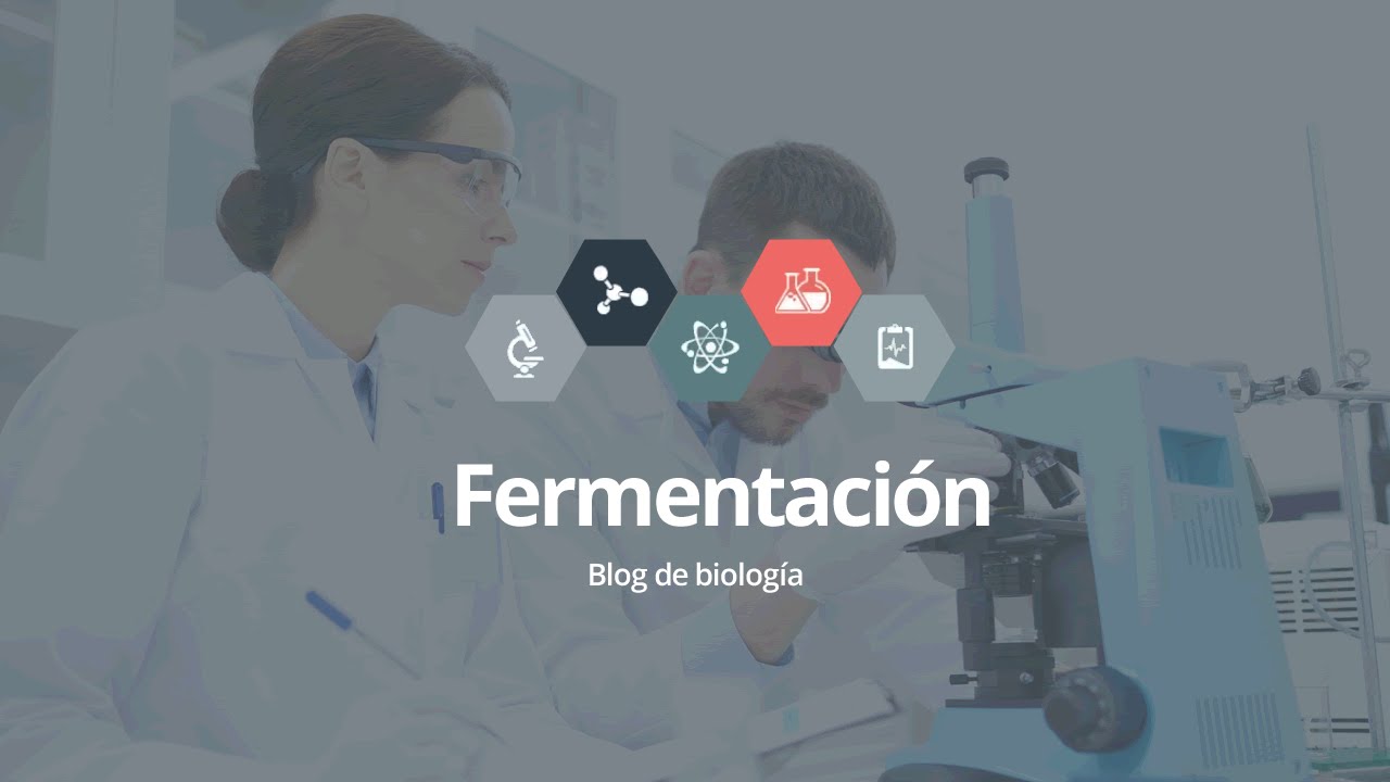 Fermentaci&oacute;n