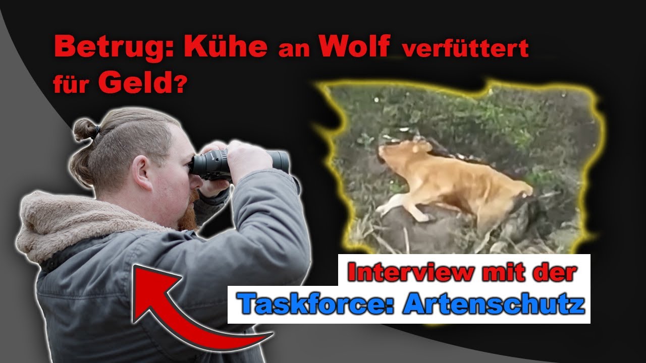True Crime im Wald 🎯🐺 Interview mit der Taskforce: Artenschutz