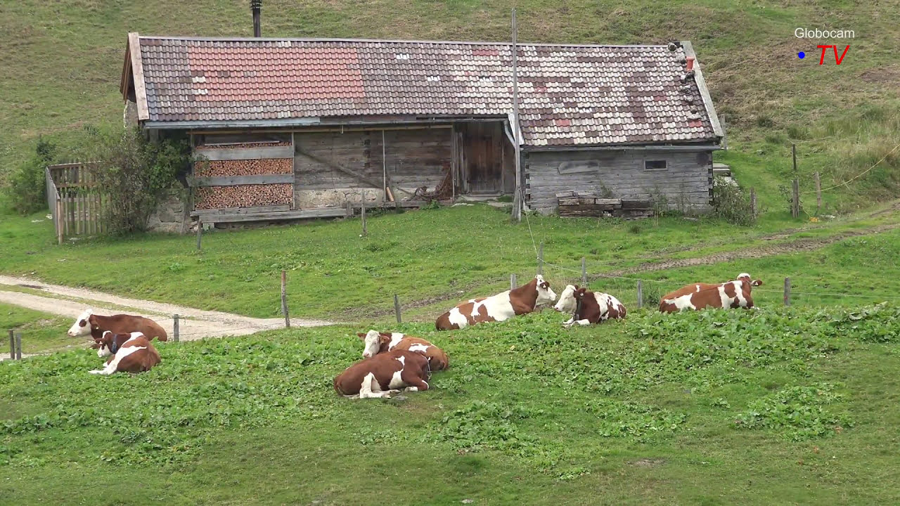 Rettensch&ouml;ss Almen