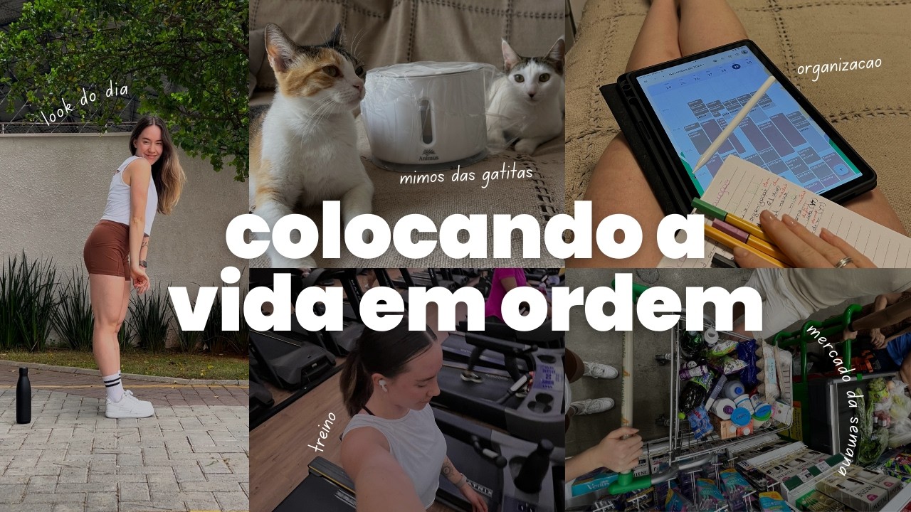 Colocando a vida em ordem *vlog | marmitas, desafio de 21 dias, organização, trabalho