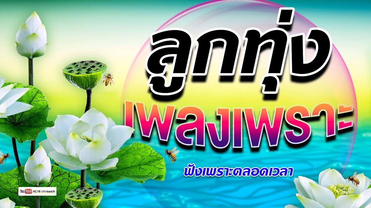 ลูกทุ่ง เพลงเพราะๆ - เพลงฟังเพราะๆ 100% [ คัดมาพิเศษ ]