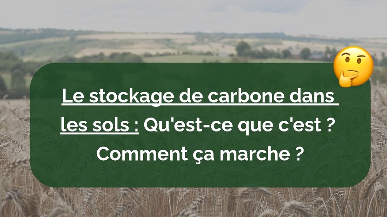 Le stockage de carbone dans les sols : Qu’est ce que c’est ? Comment ça marche ?