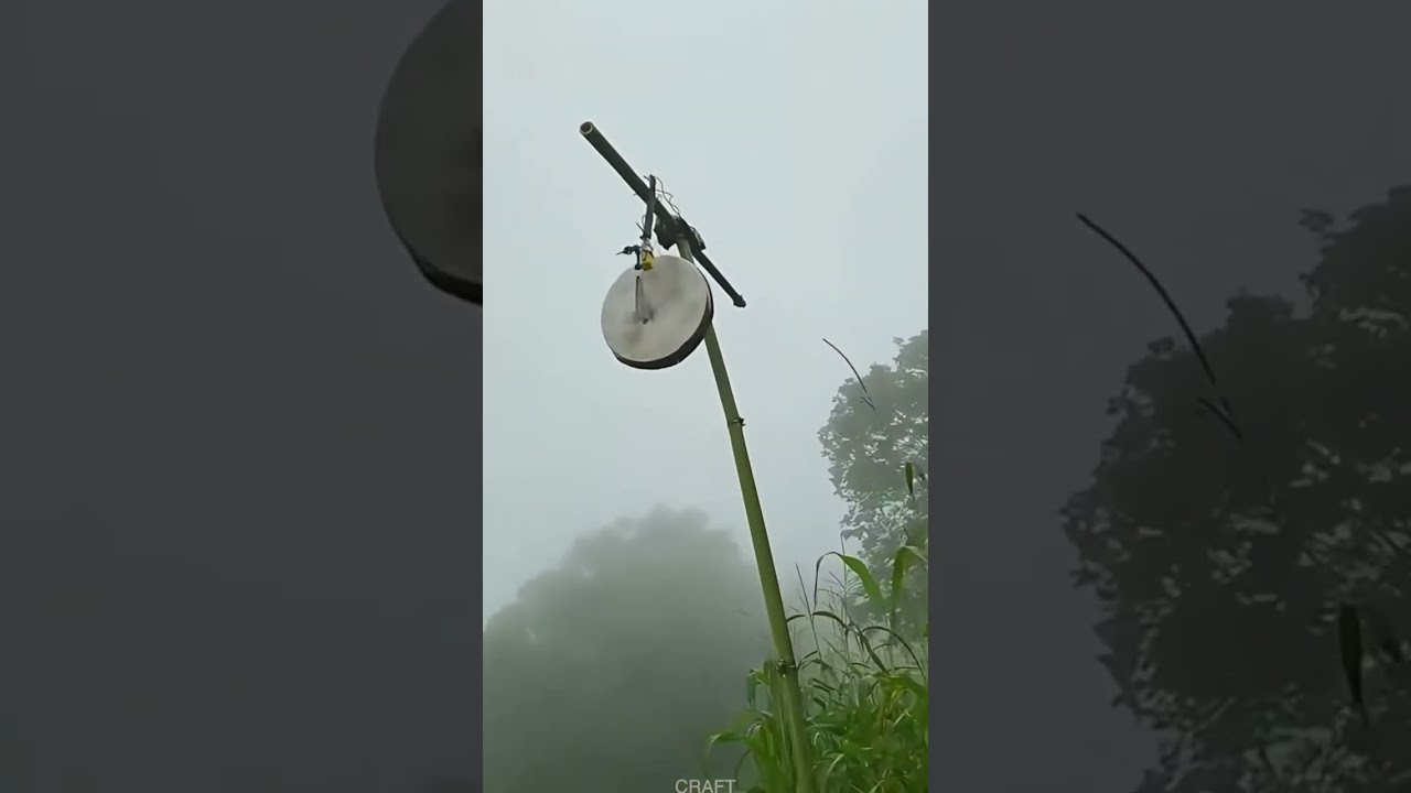 DIY Bird Repellent Device for Farmland Crops