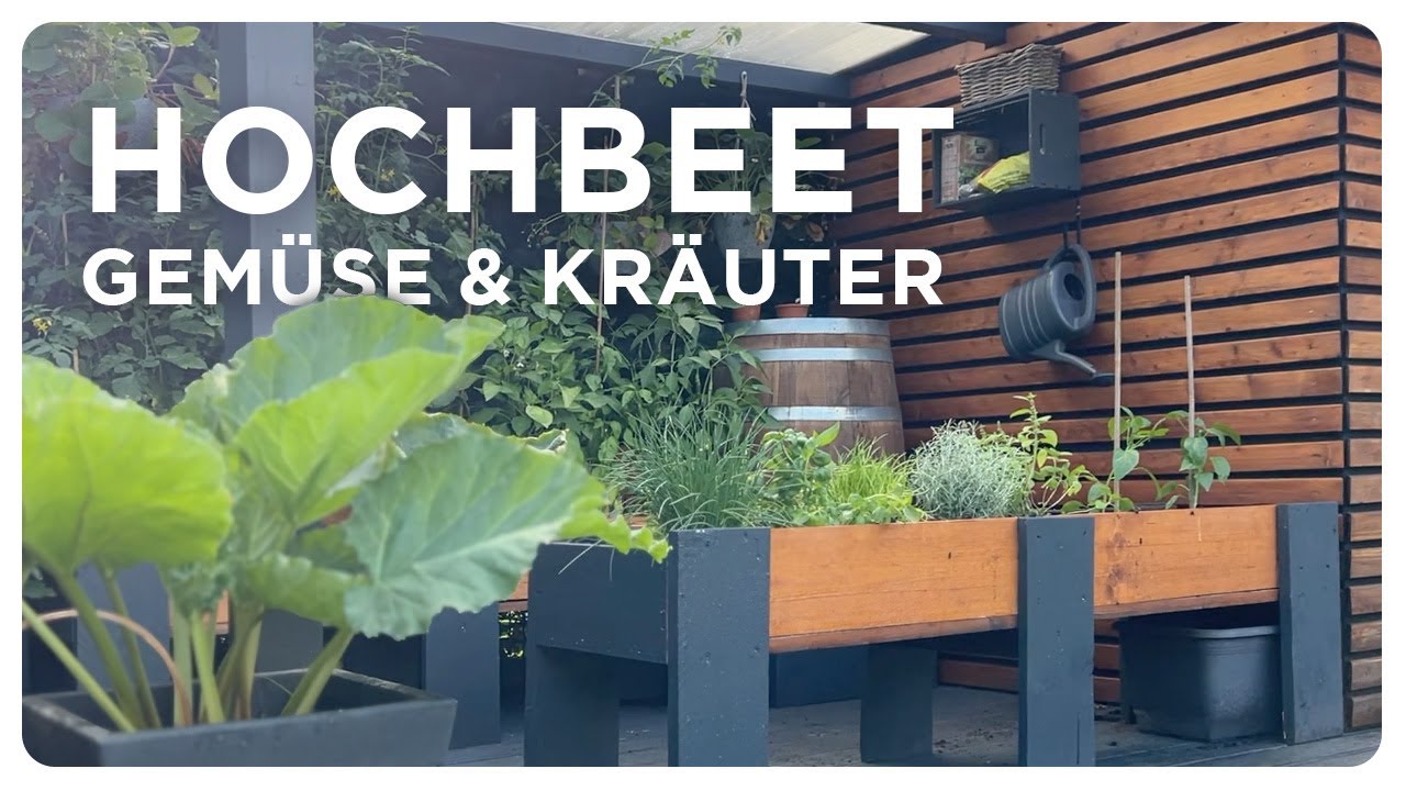 Überdachtes HOCHBEET für GEMÜSE & KRÄUTER - bis zur ersten ERNTE
