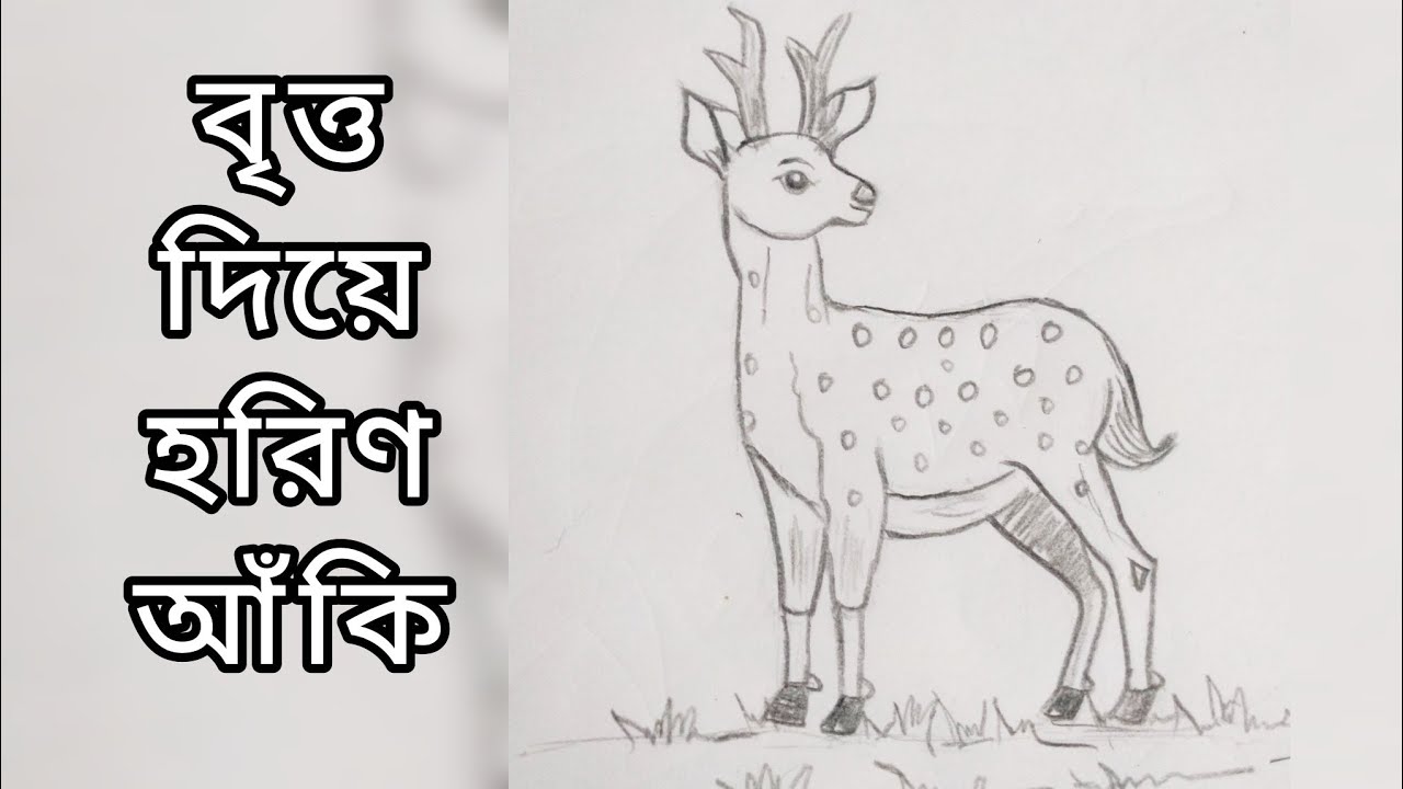 How to draw a deer with circle | বৃত্ত দিয়ে হরিণ আঁকি | art in lines