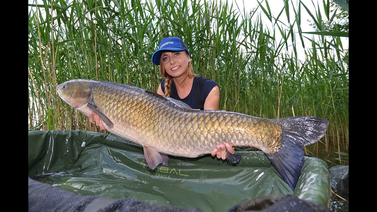 Z miłości do amurów... - NLT.SKLEP.PL