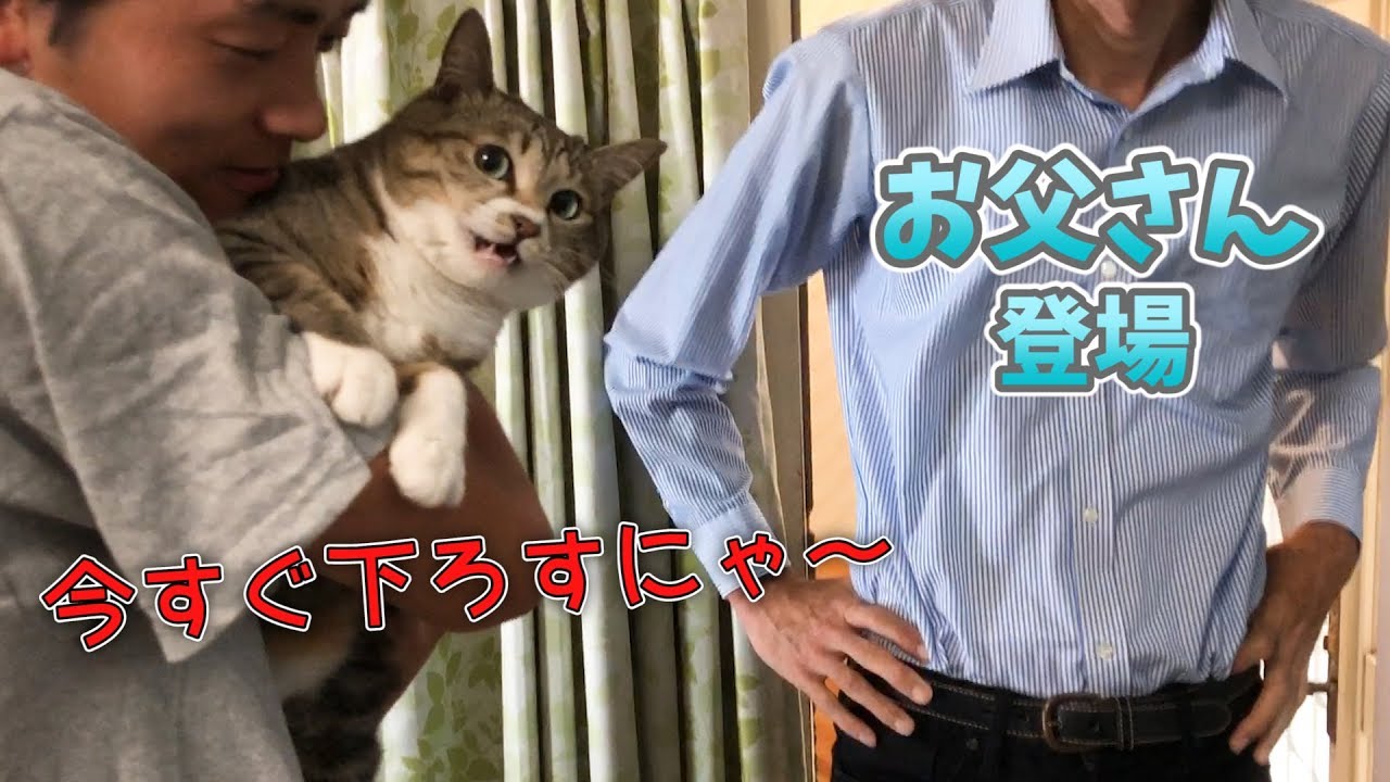 抱っこ嫌いなぷーちゃんがお父さんの時だけお利口にするんですけど...