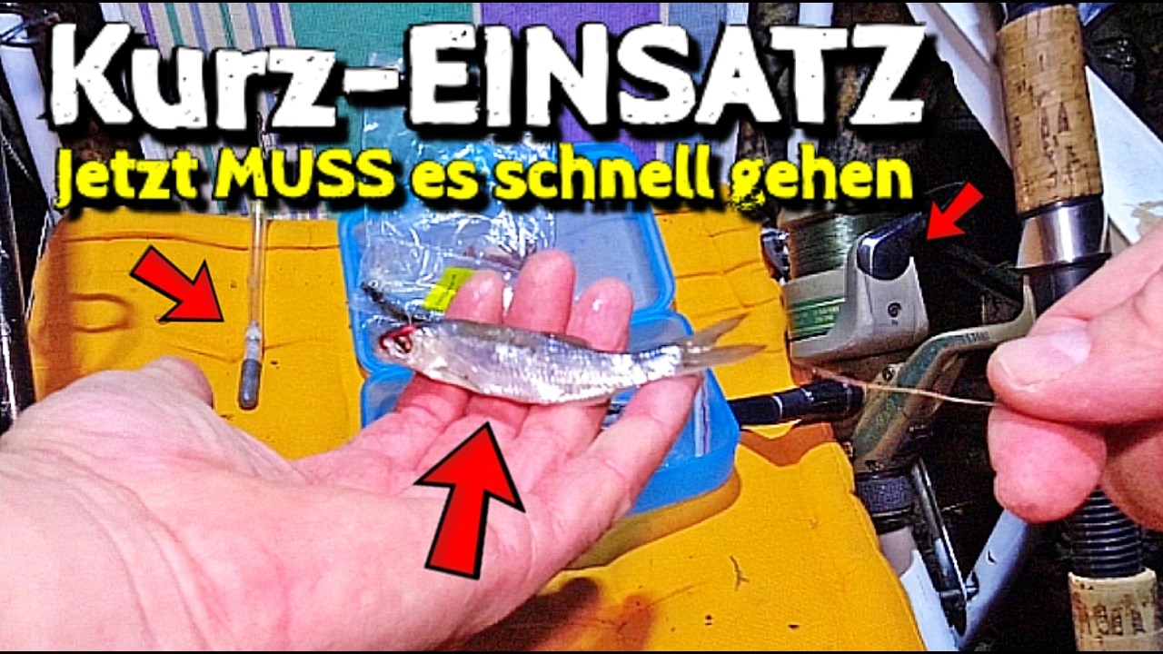 Jetzt schnell zum ANGELN (Aal, Zander & Wels warten schon!)