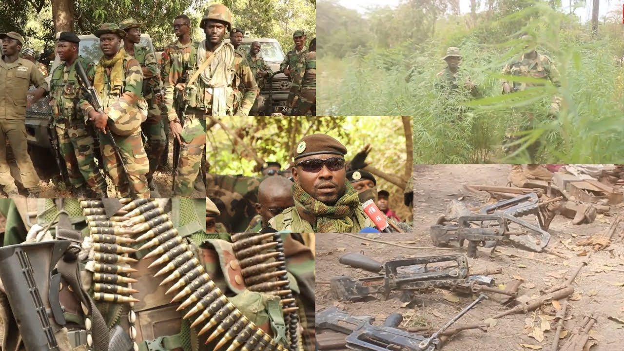 Opérations de l'armée sénégalaise en Casamance: Plusieurs sites rebelles reconquis