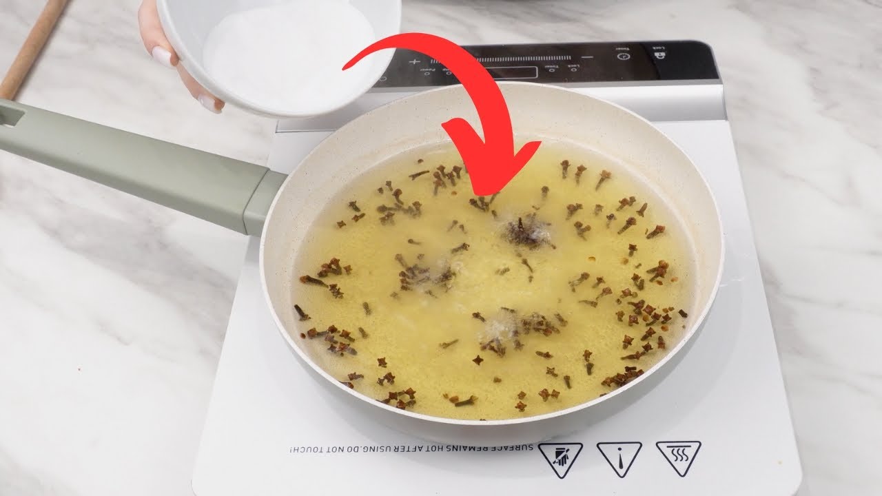 Keine Fliegen, Mücken, Ameisen oder Kakerlaken im Haus