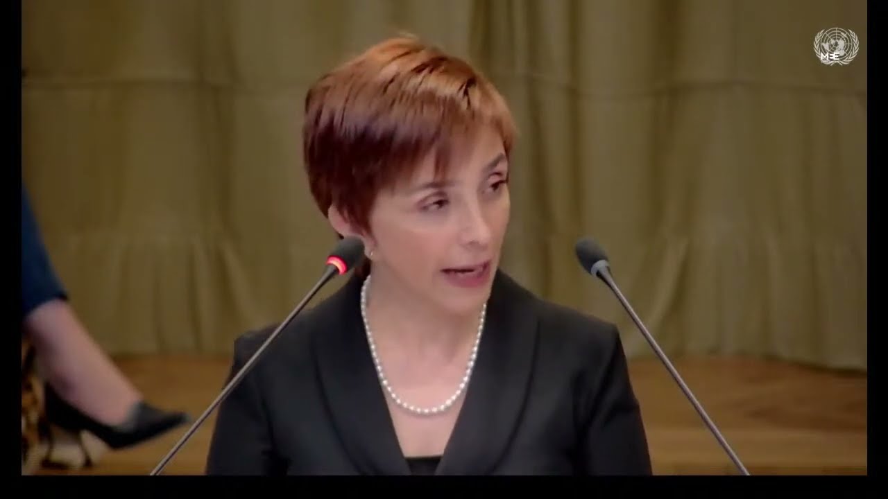 LIVE: ICJ hears from Egypt, UAE, US and others on Israeli occupation of Palestine