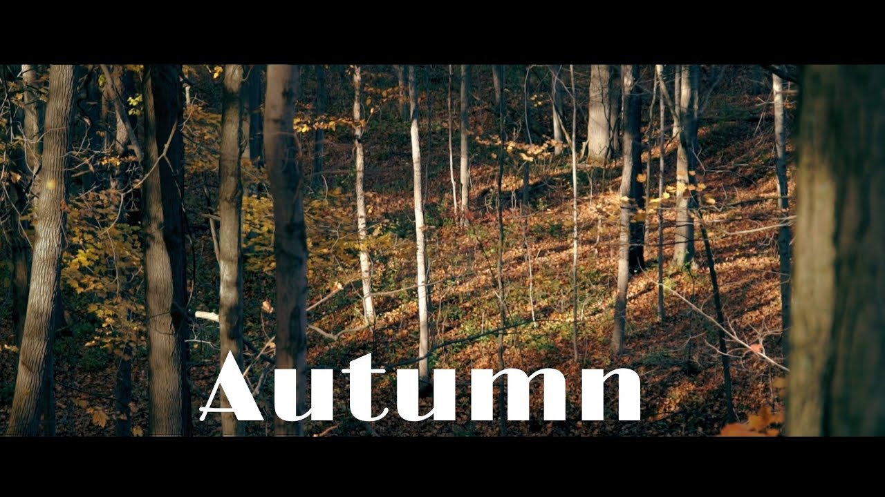 The Saturation of Autumn