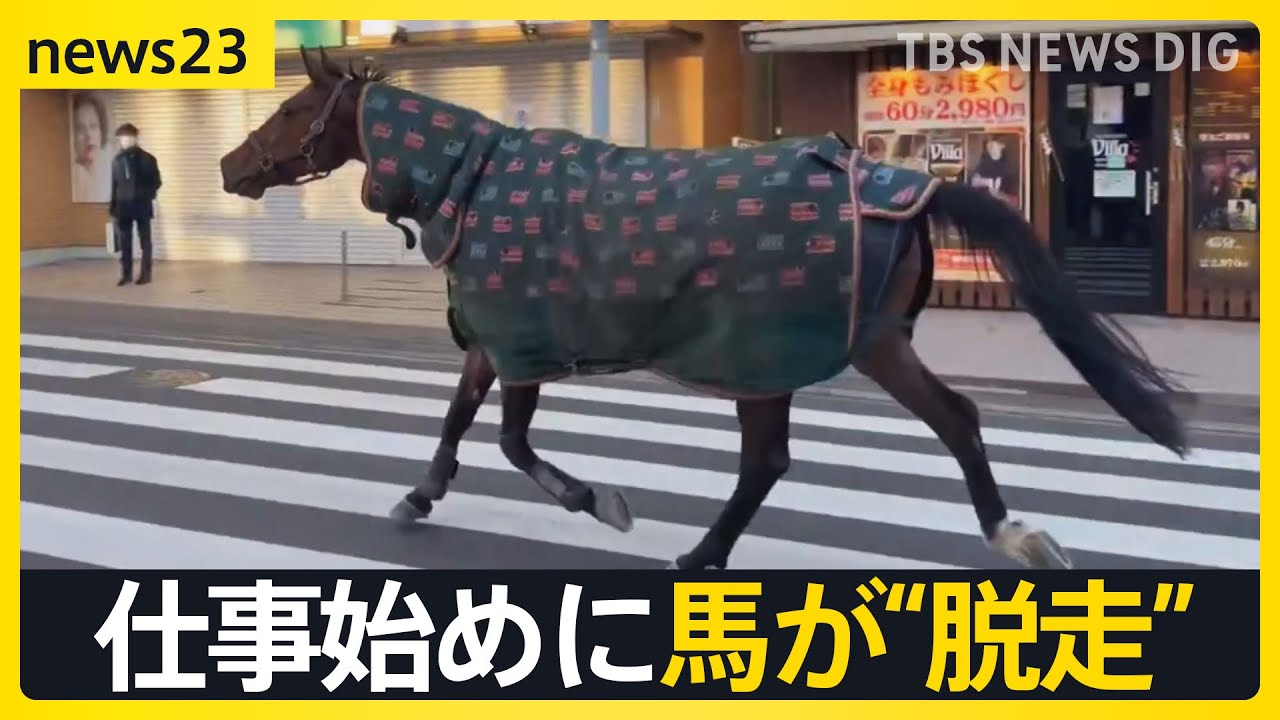 【2026年本格始動！】初競りで「一番マグロ」史上初5億円超え&hellip;午年の仕事始めに馬が&ldquo;脱走&rdquo;&hellip;街は一時騒然【news23】｜TBS&nbsp;NEWS&nbsp;DIG