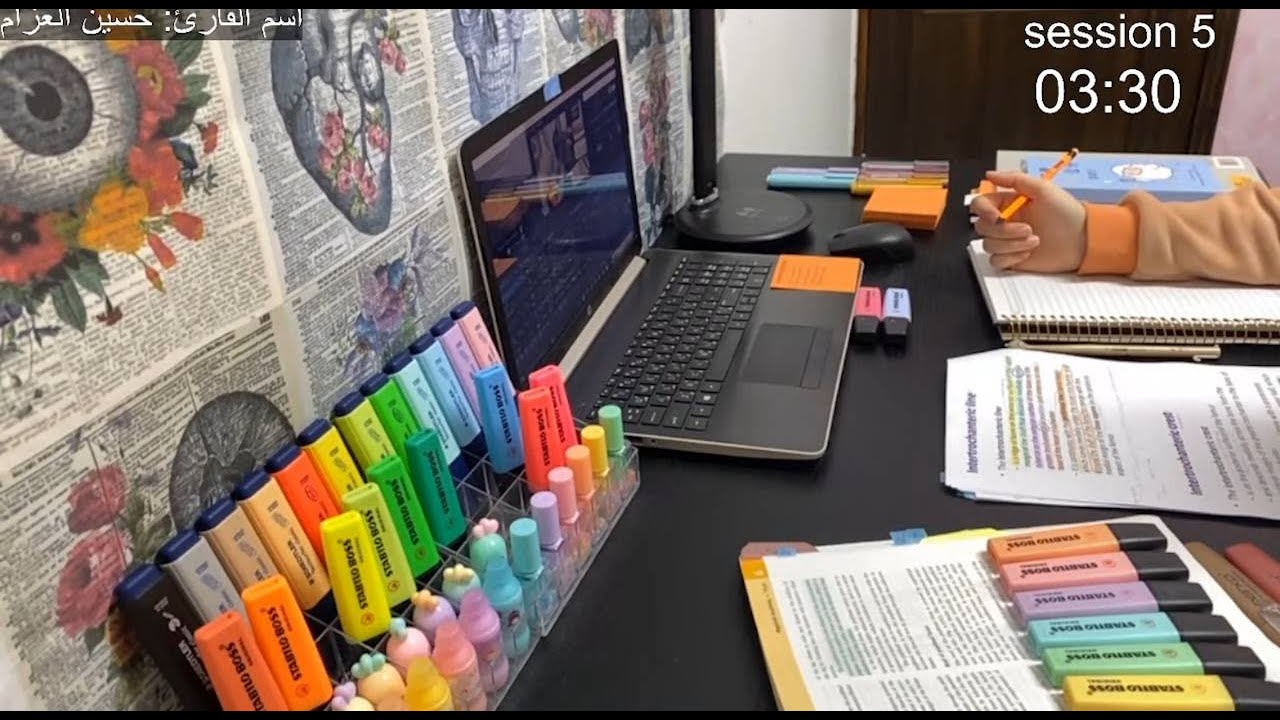 STUDY WITH ME LIVE🐬  ادرس معي بث مباشر مع تلاوة القرآن الكريم بصوت القارئ حسين العزام
