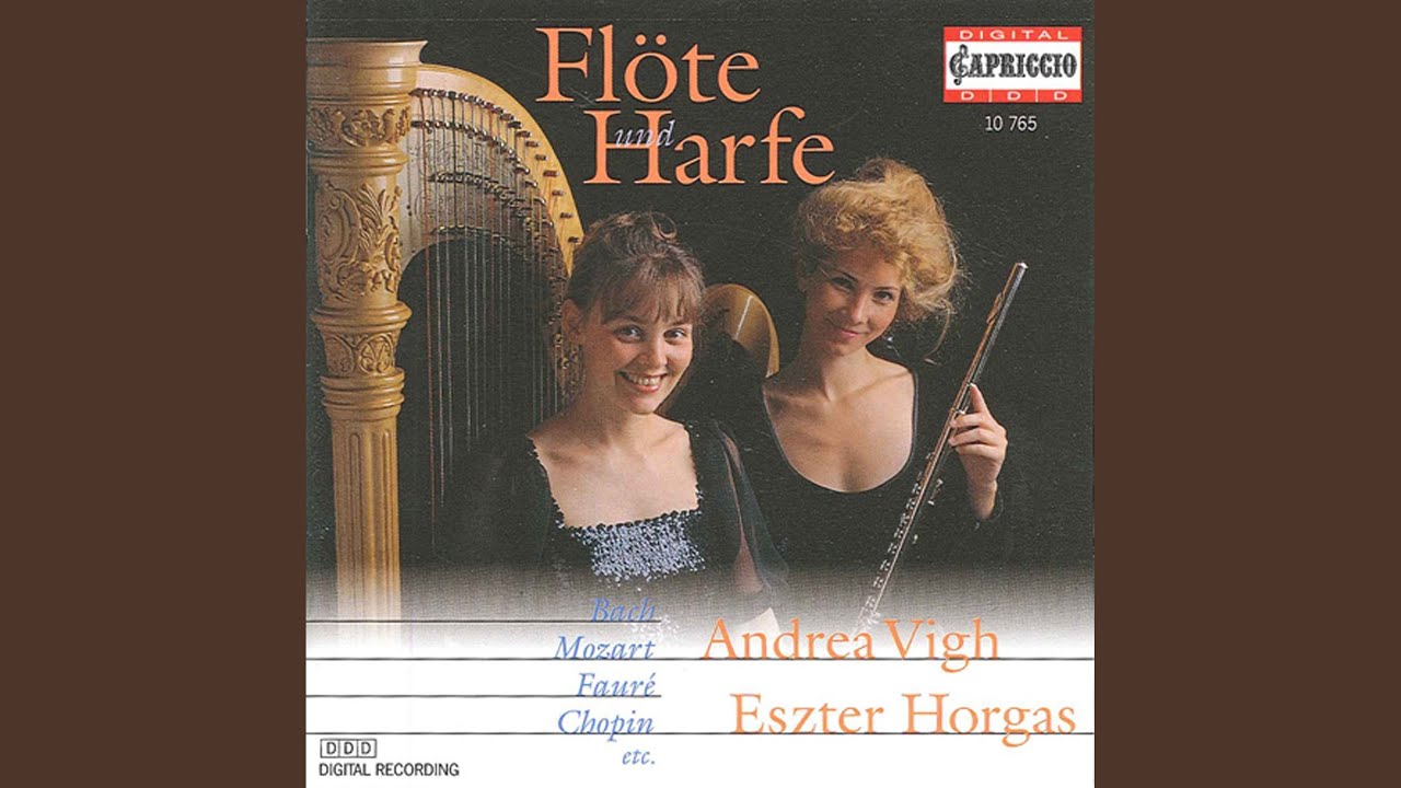 Pavane pour une infante defunte (arr. for flute and harp)