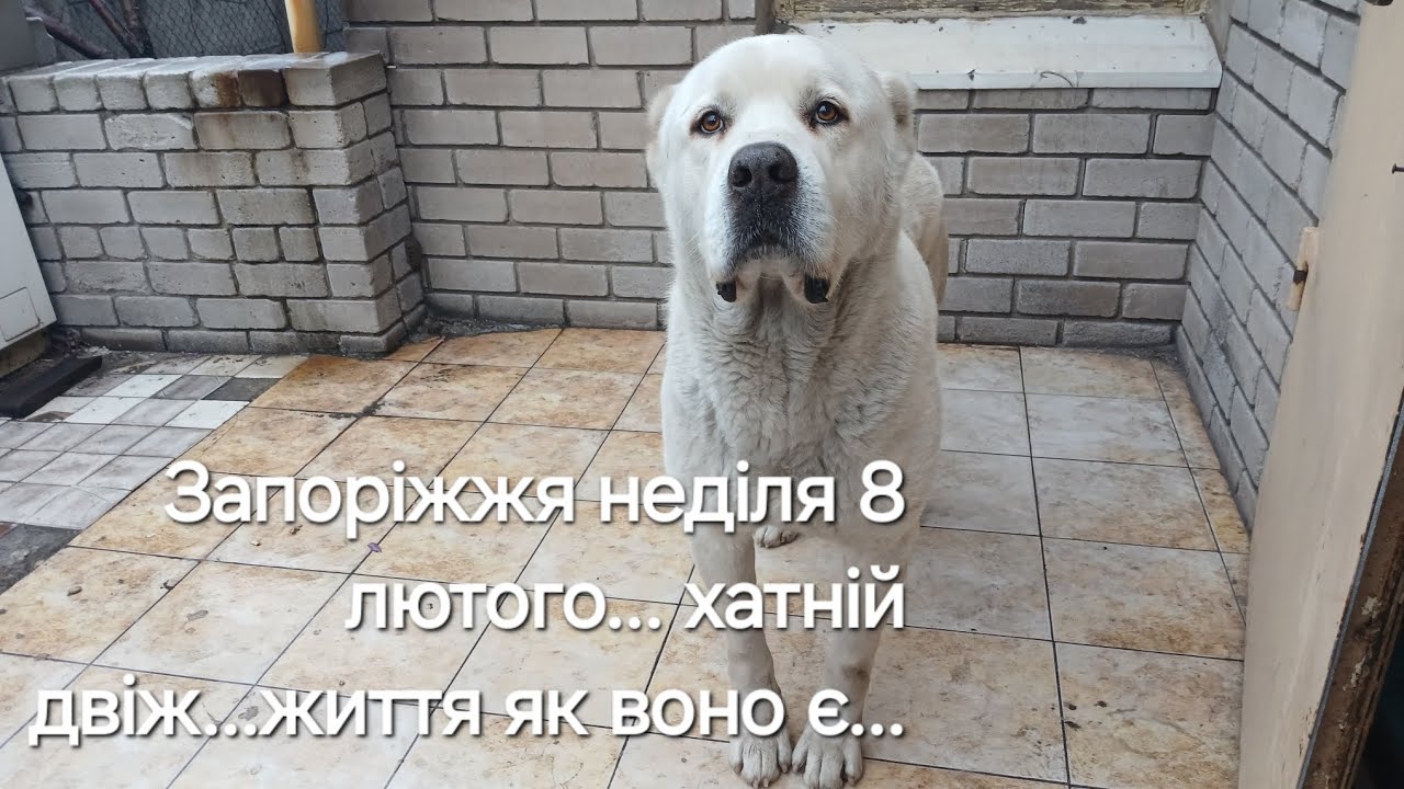 8 февраля 2026 г.