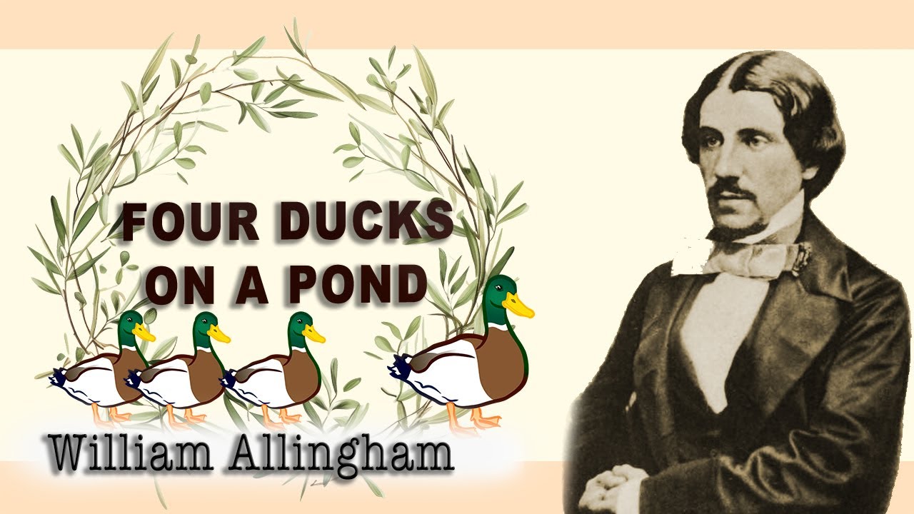 Four Ducks on a pond - William Allingham  | |  Classic Poetry | |  Short poem