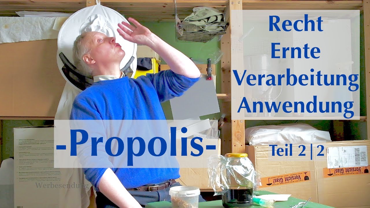 Propolis rechtlich - Ernte, Verarbeitung, Anwendung - Teil 2