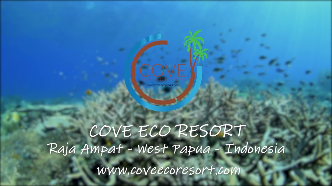 8   Diving Yeben