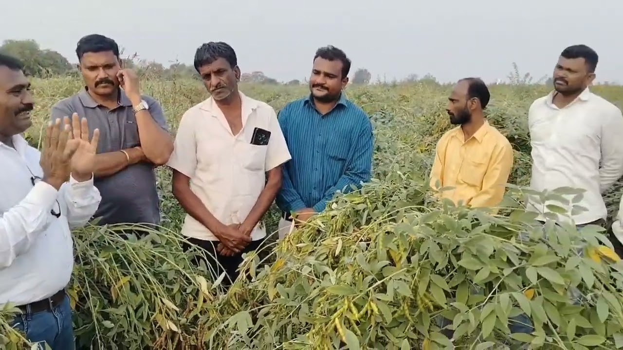 SRT(शून्य मशागत तंत्र )आता आम्हाला पण समजलं,पुढच्या वर्षी नक्कीच करू,शेतकरी बांधवांच्या प्रतिक्रिया 