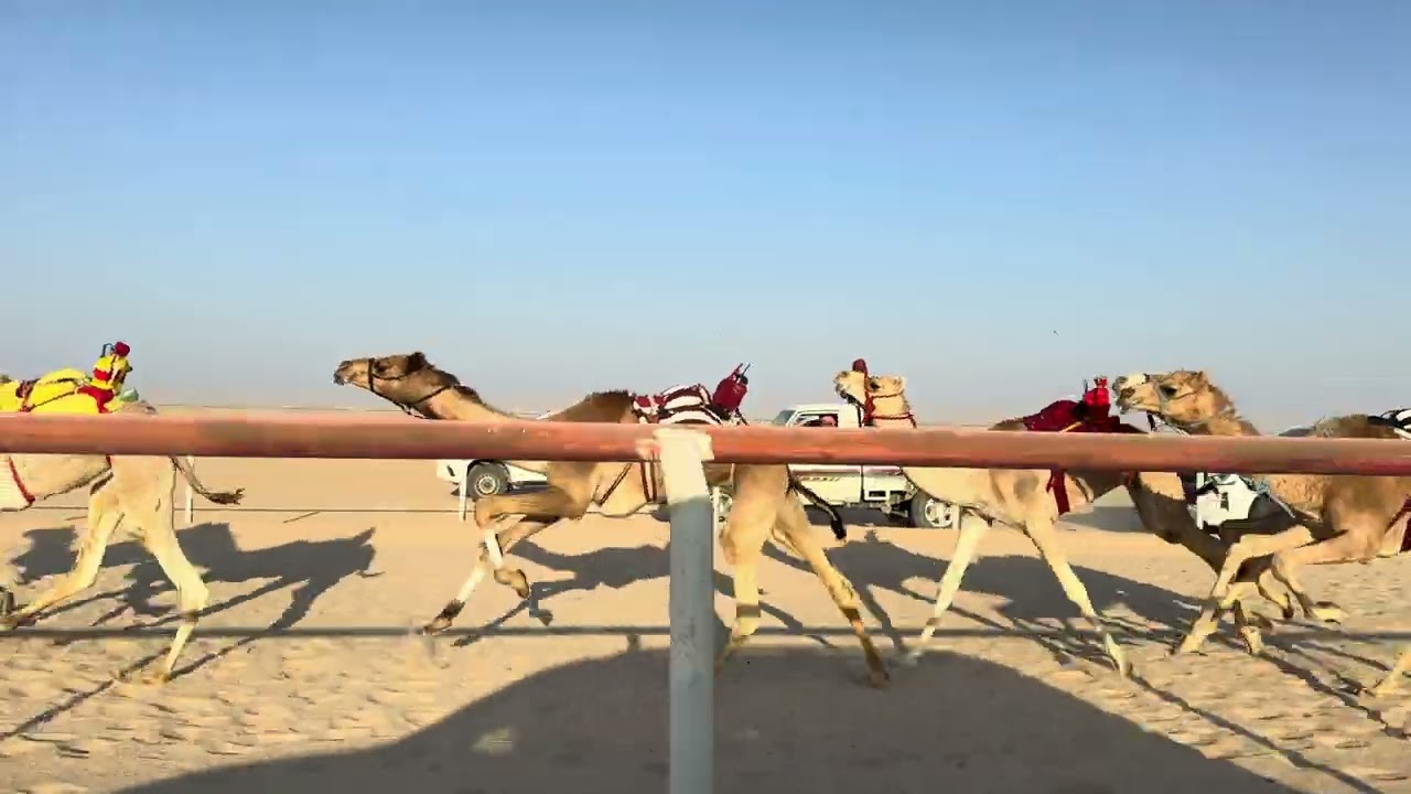 الشوط الثامن 