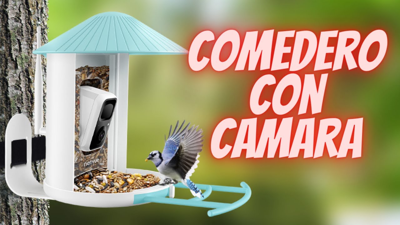 ✅ COMEDERO 🐥 CON CAMARA 🎥