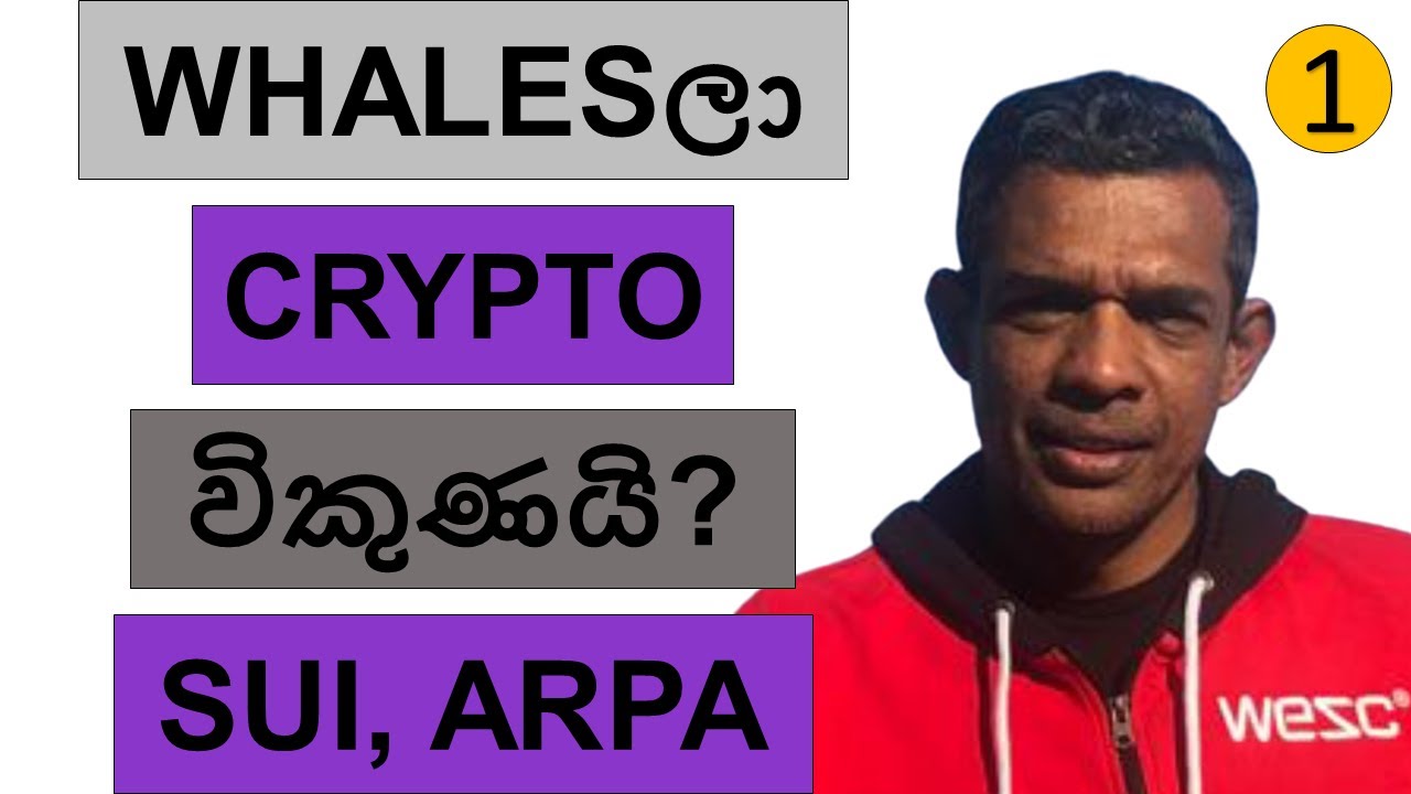 WHALES STARTED SELLING CRYPTO??? | SUI ARPA