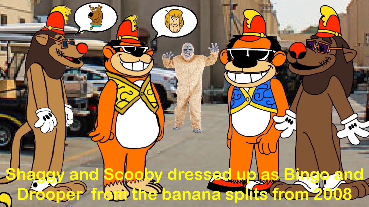 Shaggy and Scooby dressed up as Bingo and Drooper from the banana splits from 2008 (⬇️description⬇️)