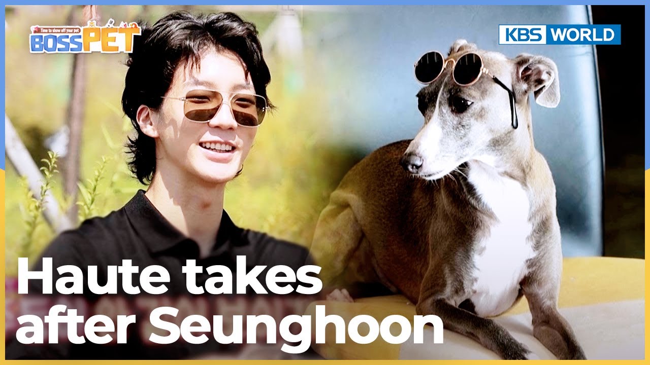 🐶Haute takes after Seunghoon [Boss Pet : EP.2] | KBS WORLD TV 220902