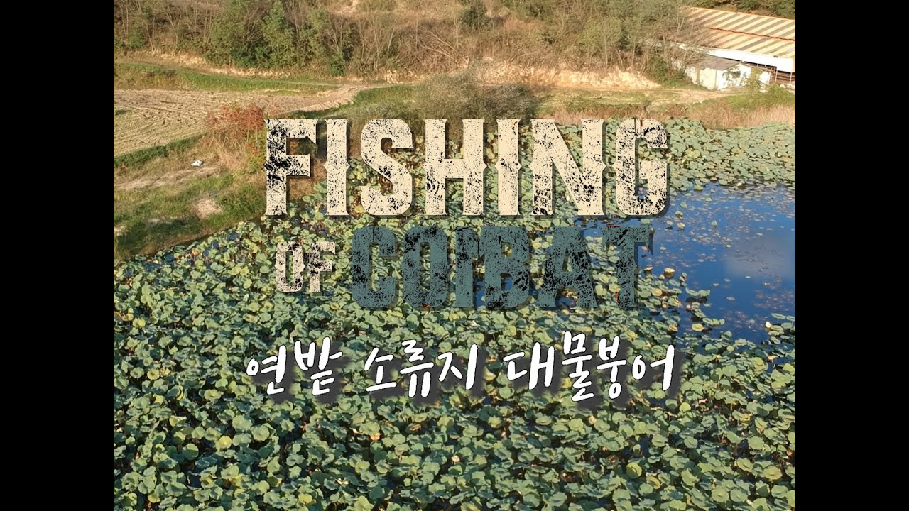 [피싱오브컴벳] 충북 옥천 연밭소류지 붕어 ep.96