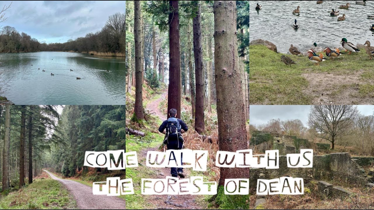 Come Walk With Us | The Forest of Dean | Jamie & Izzy