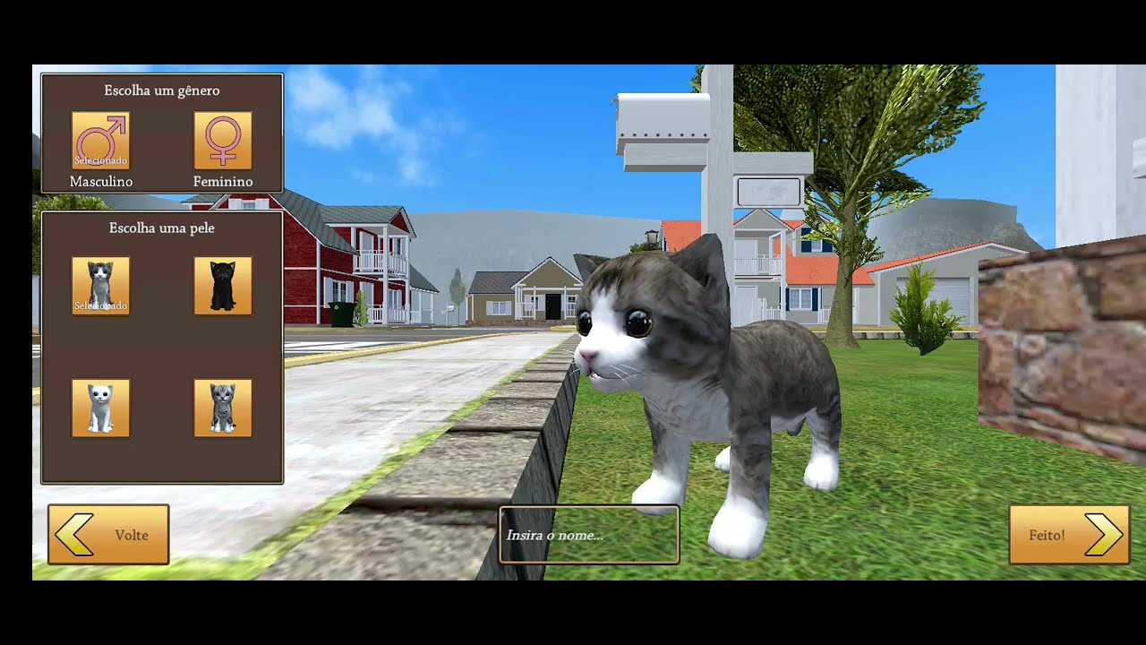 Gato