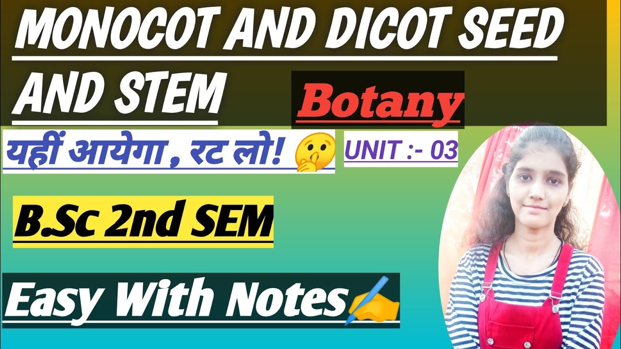 👿💯 Exam में आयेगा, रट लो🎯🤫/Monocot & Dicot Seed & Stem /Botany Bsc 2nd semester With Proper Notes📙✍️