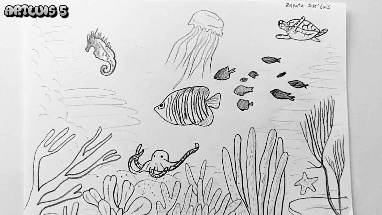 Como desenhar o fundo do MAR | Paisagem marinha
