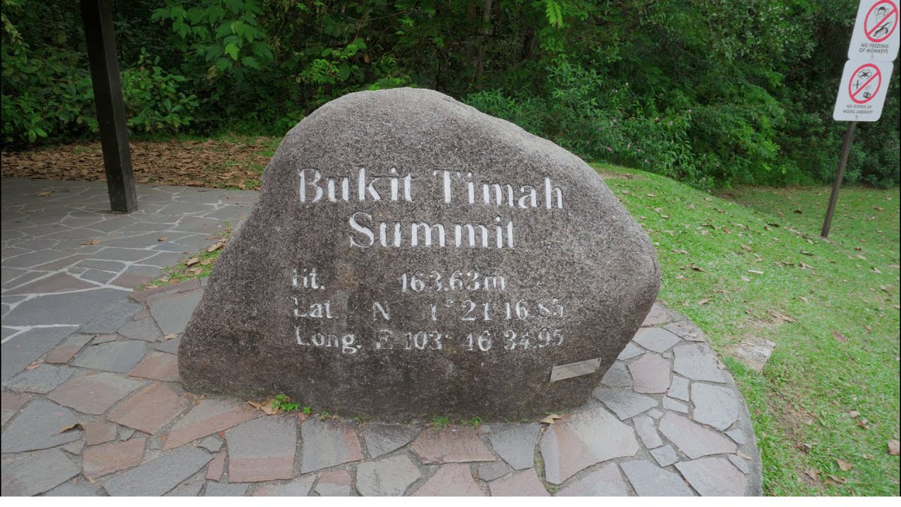 Singapore&rsquo;s Highest Hill: A Walk Through Bukit Timah Nature Reserve