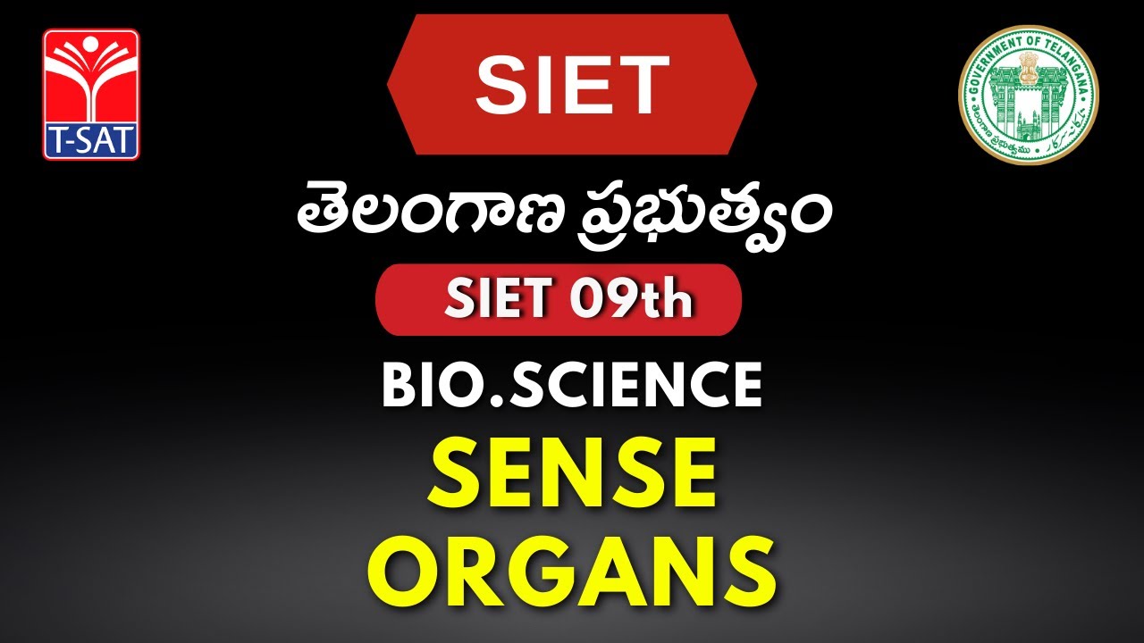 SIET 09th  CLASS  (EM) || BIO.SCIENCE - SENSE ORGANS || T-SAT || 13.10.2022