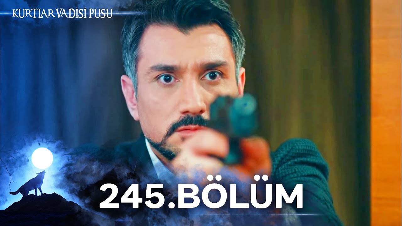 Kurtlar Vadisi Pusu | 245. Bölüm | Yüksek Görüntü Kalitesi
