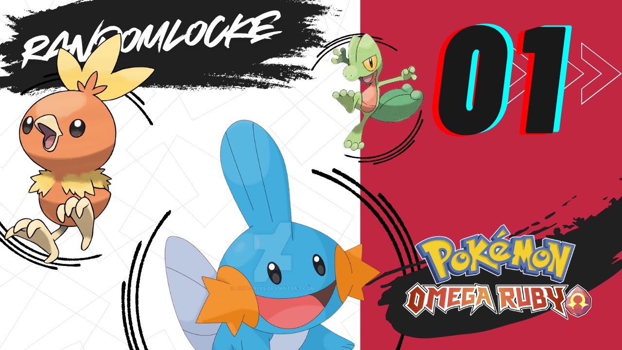 Pokémon Rubí Omega Randomlocke Ep.1 - ¡UN RETO CONMIGO MISMO!